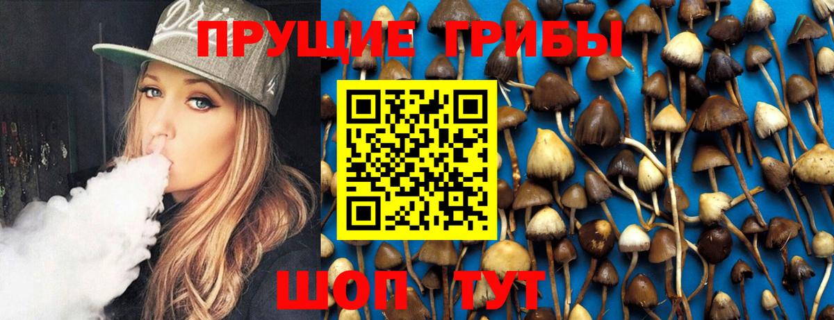 Псилоцибиновые грибы ЛСД  закладки  Батайск  Вход с VPN 