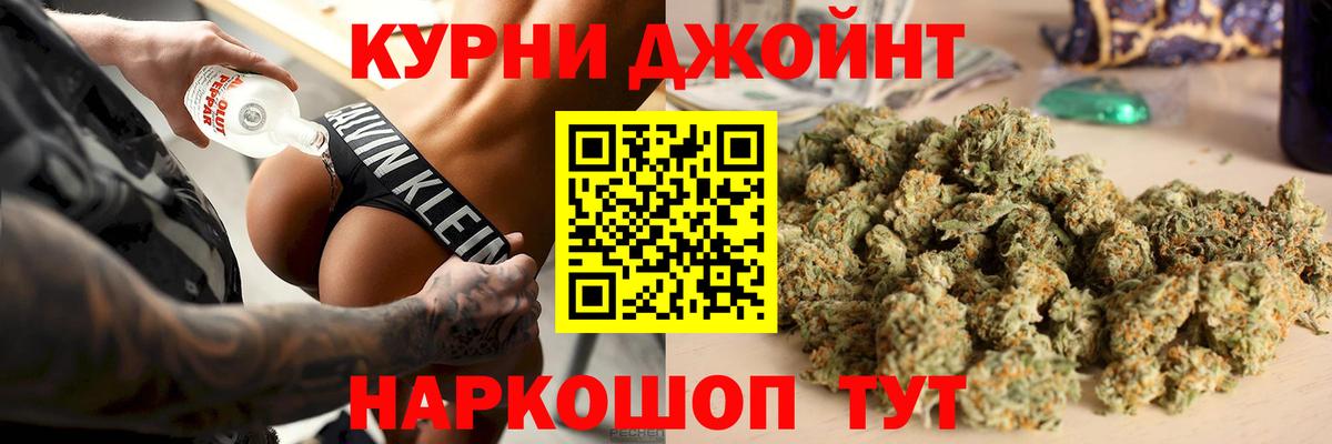 Бошки Шишки планчик Батайск